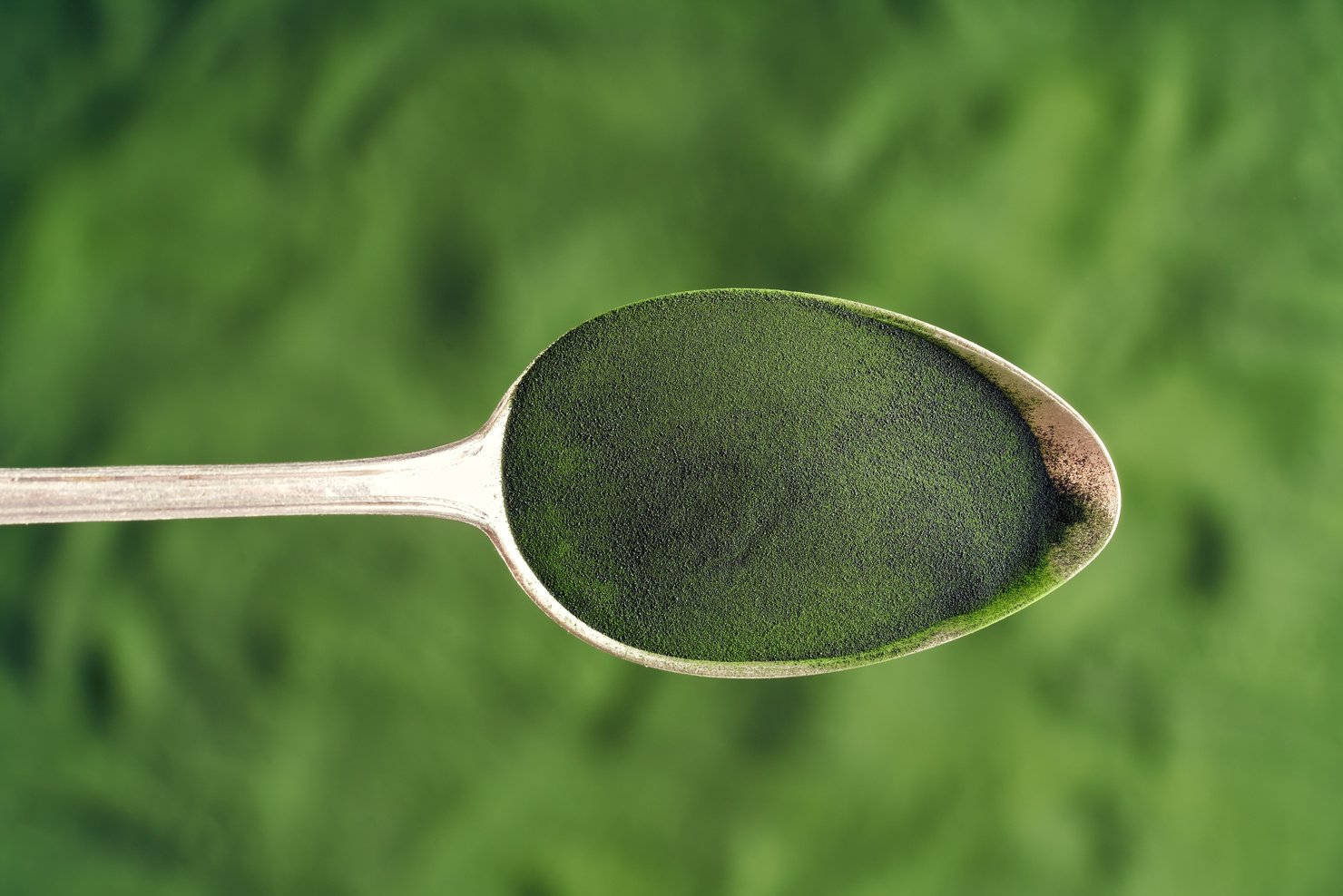 Chlorella Algae Powder on a Spoon